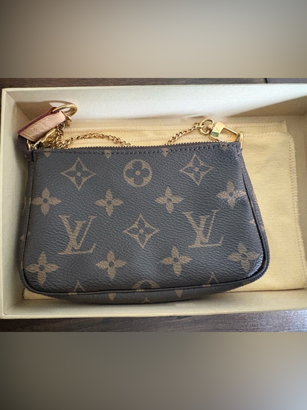 Louis Vuitton Mini Pochette Accessoires - Picture 2 of 15